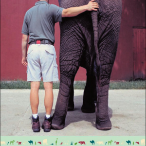 Life at the Zoo: Behind the Scenes with the Animal Doctors