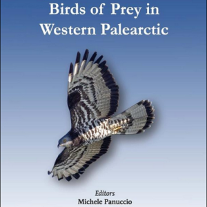 Migration Strategies of Birds of Prey in Western Palearctic