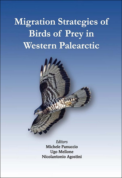 Migration Strategies of Birds of Prey in Western Palearctic