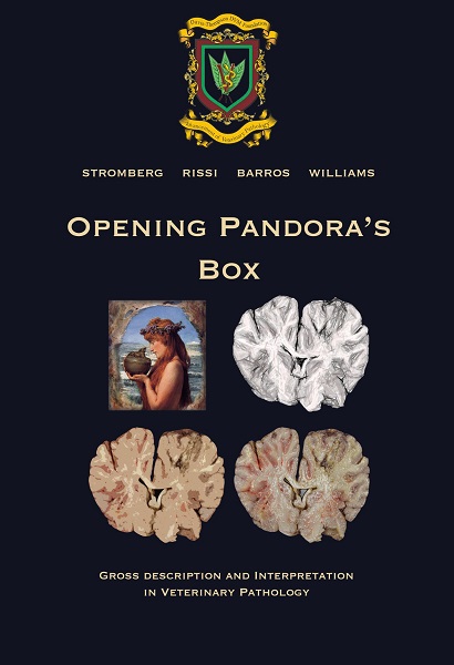 Opening Pandora’s Box: Gross Description and Interpretation in Anatomic Veterinary Pathology
