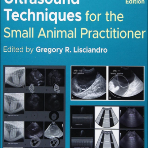 Point-of-Care Ultrasound Techniques for the Small Animal Practitioner