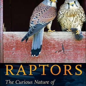 Raptors: The Curious Nature of Diurnal Birds of prey