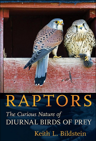 Raptors: The Curious Nature of Diurnal Birds of prey