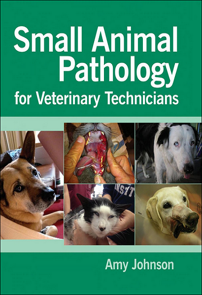 Small Animal Pathology for Veterinary Technicians