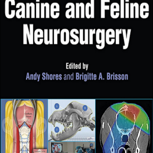 Advanced Techniques in Canine and Feline Neurosurgery