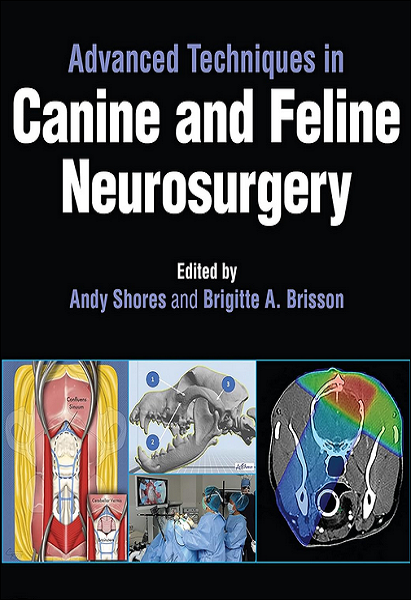 Advanced Techniques in Canine and Feline Neurosurgery