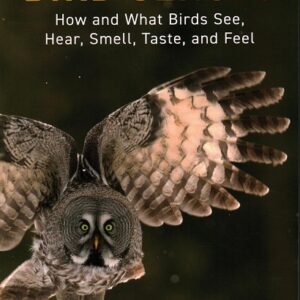 Bird Senses: How and What Birds See, Hear, Smell, Taste, and Feel