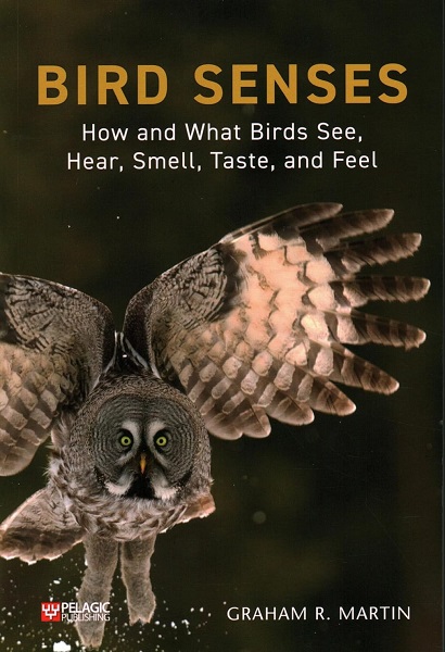 Bird Senses: How and What Birds See, Hear, Smell, Taste, and Feel