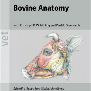 Bovine Anatomy: An Illustrated Text, 2nd Edition