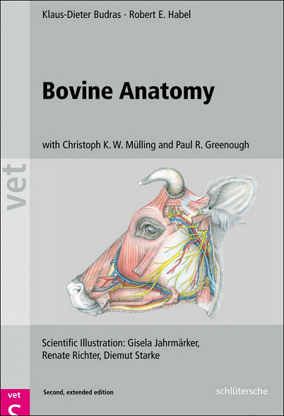 Bovine Anatomy: An Illustrated Text, 2nd Edition