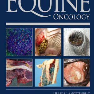 Clinical Equine Oncology 
