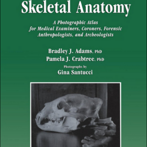 Comparative Skeletal Anatomy...