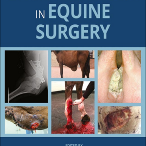 Complications in Equine Surgery 