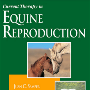 Current Therapy in Equine Reproduction