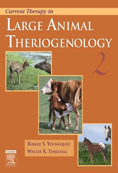 Current Therapy in Large Animal Theriogenology, 2nd Edition