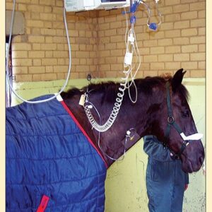 Equine Fluid Therapy 