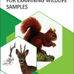 Necropsy Techniques for Examining Wildlife Samples