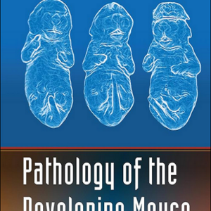 Pathology of the Developing Mouse: A Systematic Approach 