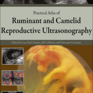 Practical Atlas of Ruminant and Camelid Reproductive Ultrasonography