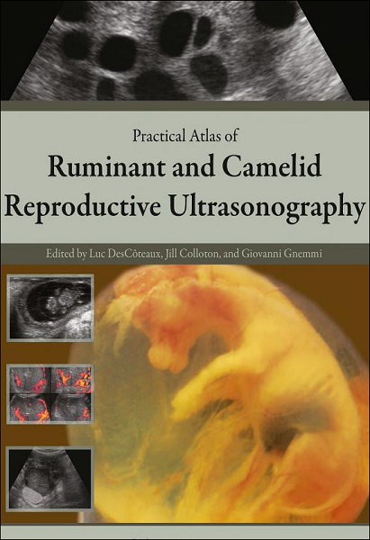 Practical Atlas of Ruminant and Camelid Reproductive Ultrasonography