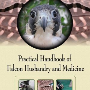 Practical Handbook of Falcon Husbandry and Medicine