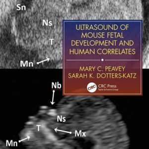 Ultrasound of Mouse Fetal Development and Human Correlates