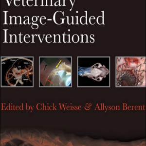 Veterinary Image-Guided Interventions 