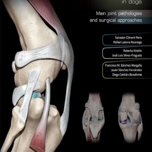 3D Joint Anatomy in Dogs...