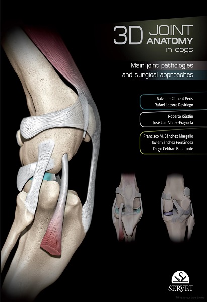 3D Joint Anatomy in Dogs: Main Joint Pathologies and Surgical Approaches