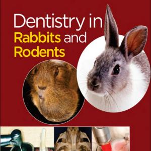 Dentistry in Rabbits and Rodents