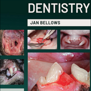 Feline Dentistry, 2nd Edition