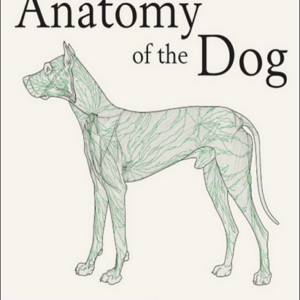 Miller and Evans' Anatomy of the Dog, 5th Edition