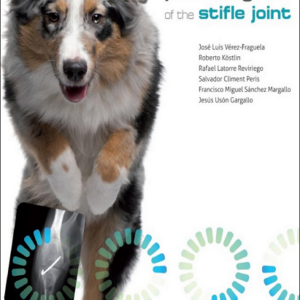 Orthopaedic Pathologies of the Stifle Joint
