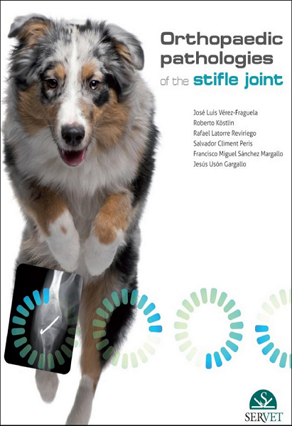 Orthopaedic Pathologies of the Stifle Joint