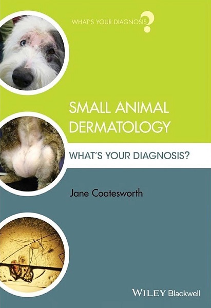 Small Animal Dermatology: What’s Your Diagnosis?