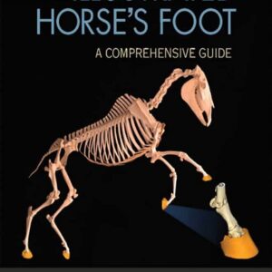 The Illustrated Horse's Foot: A Comprehensive Guide