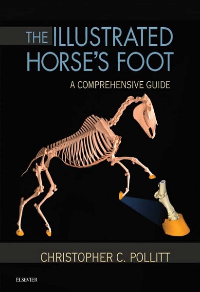 The Illustrated Horse’s Foot: A Comprehensive Guide