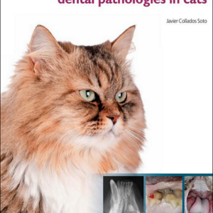 Visual Atlas of Oral and Dental Pathologies in Cats