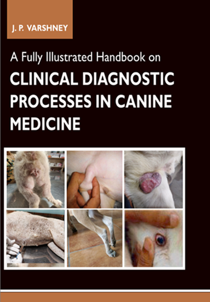 A Fully Illustrated Handbook on Clinical Diagnostic Processes in Canine Medicine