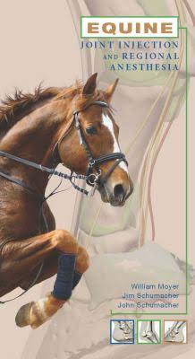 A Guide to Equine Joint Injection and Regional Anesthesia
