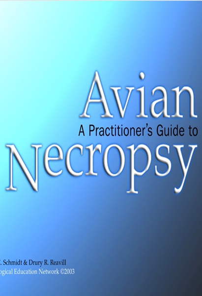 A Practitioner’s Guide to Avian Necropsy