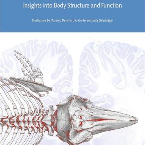Anatomy of Dolphins: Insights into Body Structure and Function