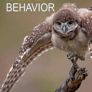 Animal Behavior, 3rd Edition