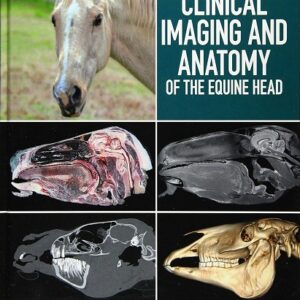 Atlas of Clinical Imaging and Anatomy of the Equine Head