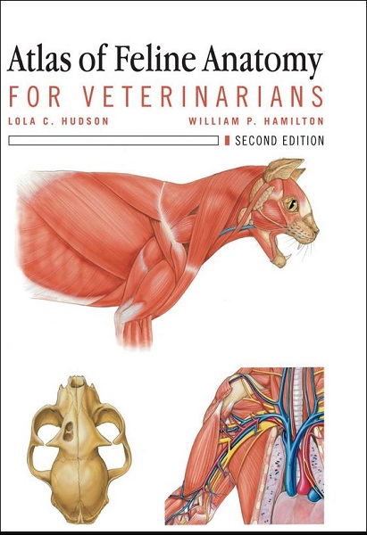 Atlas of Feline Anatomy for Veterinarians, 2nd Edition