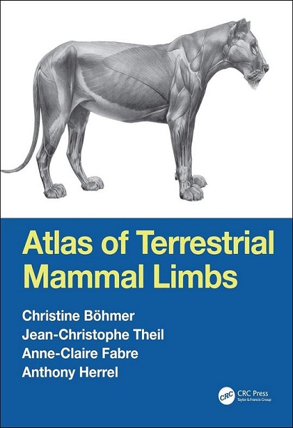 Atlas of Terrestrial Mammal Limbs