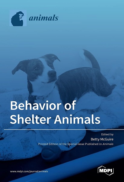 Behavior of Shelter Animals