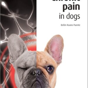 Chronic Pain in Dogs