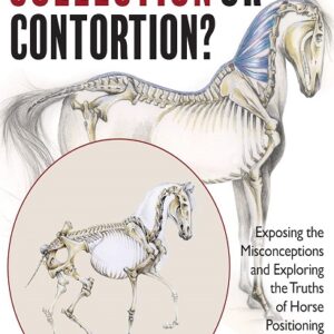 Collection or Contortion? Exposing the Misconceptions and Exploring the Truths of Horse Positioning and Bend