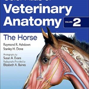 Color Atlas of Veterinary Anatomy: The Horse, 2nd Edition